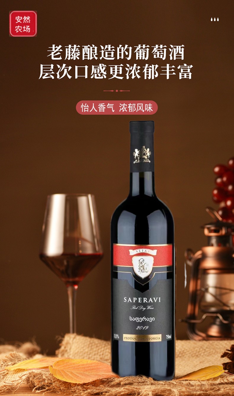 帕里阿尼 萨别拉维2.jpg