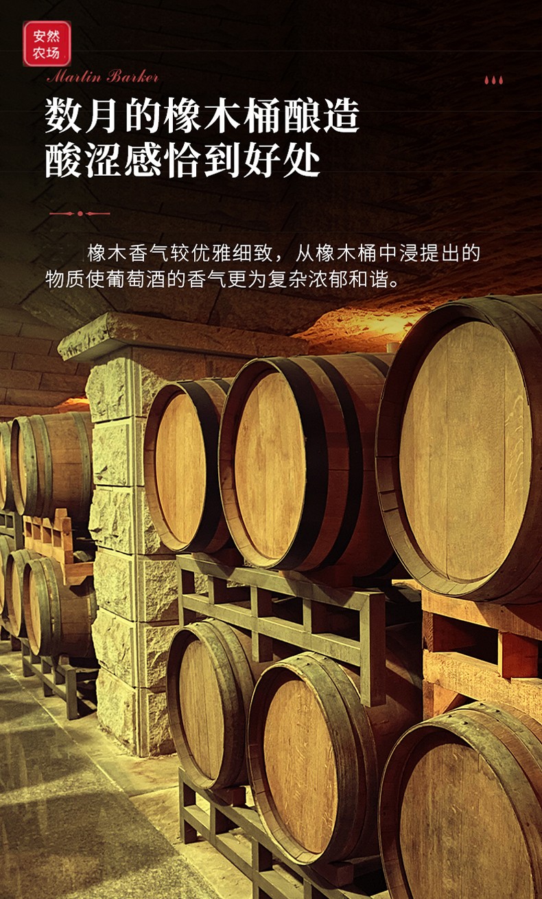 帕里阿尼 萨别拉维3.jpg