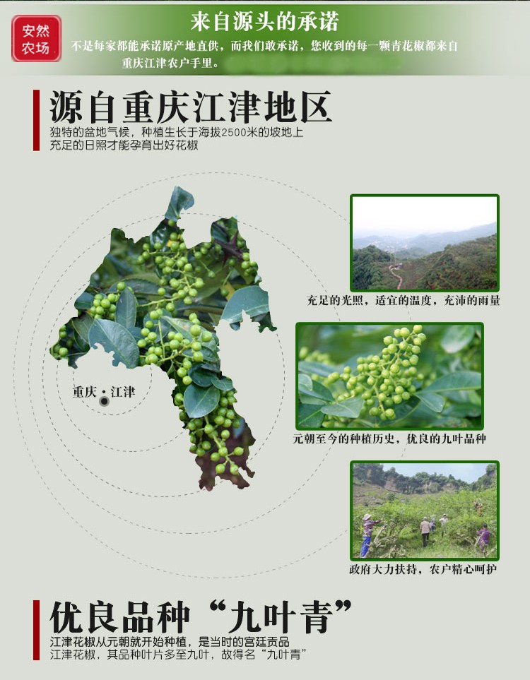 江津一级干青花椒2.jpg