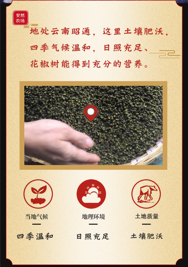 云南特级干青花椒3.png